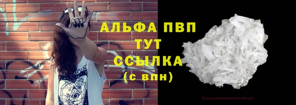 эйфоретик Беломорск