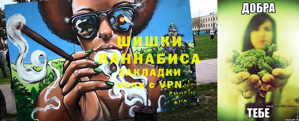 эйфоретик Белокуриха