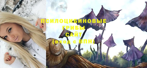 эйфоретик Беломорск
