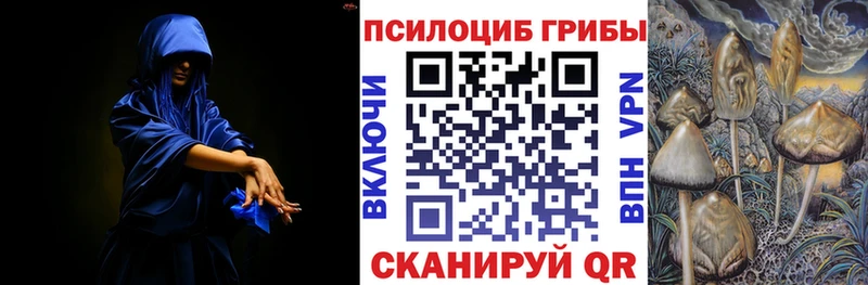 Галлюциногенные грибы Psilocybine cubensis  kraken ссылки  Вятские Поляны 